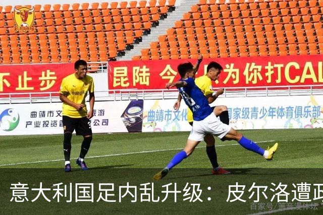 意大利国足内乱升级：皮尔洛遭政界封杀痛失帅位，马尔蒂尼怒摔饭碗